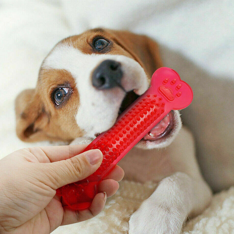 Flat Bone Teething Toy - Tails&Trinkets