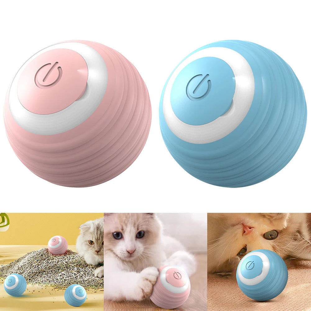 Cat Smart Toy - Tails&Trinkets