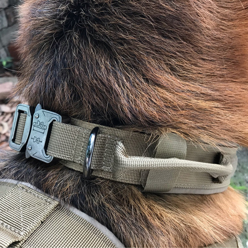 Tactical Dog Collar - Tails&Trinkets