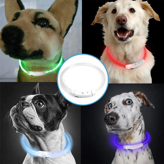 Glowing LED Dog Collars - Tails&Trinkets