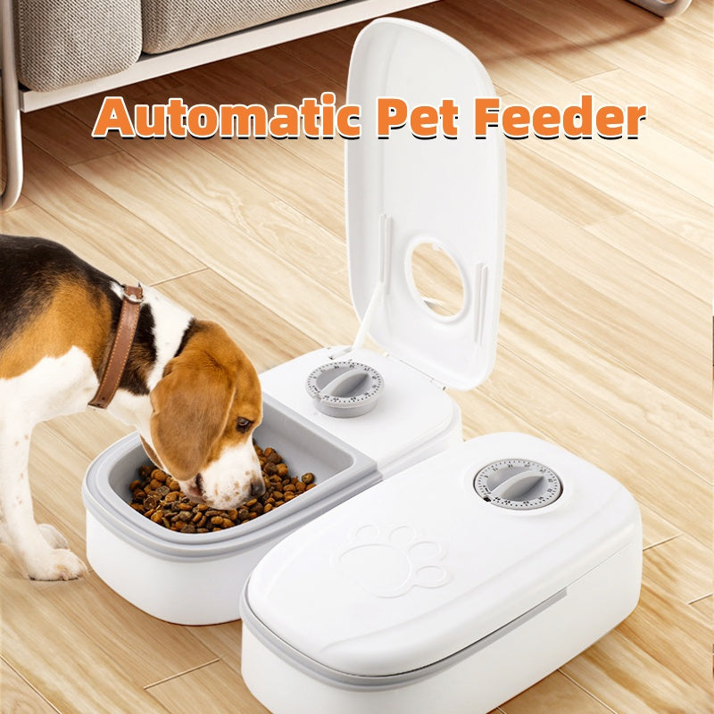 Timed Pet Feeder - Tails&Trinkets